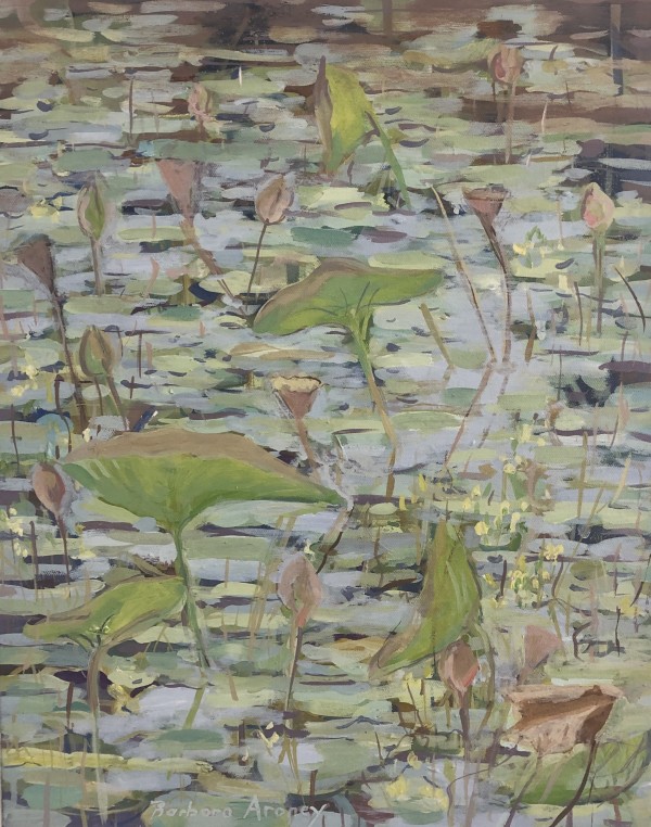 Massed lilies, Ingham QLD by Barbara Aroney