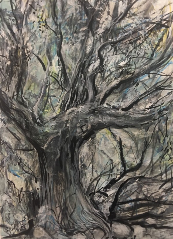 Old Riverine Tree by Barbara Aroney