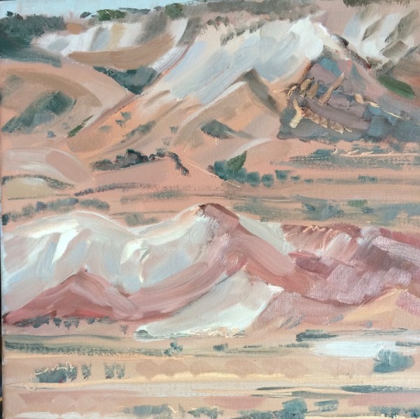 Painted Desert Study by Barbara Aroney