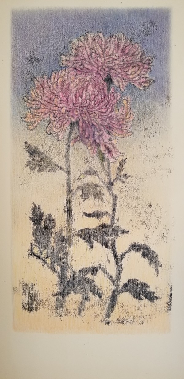 Chrysanthemum at Dusk by Nancy Jaramillo