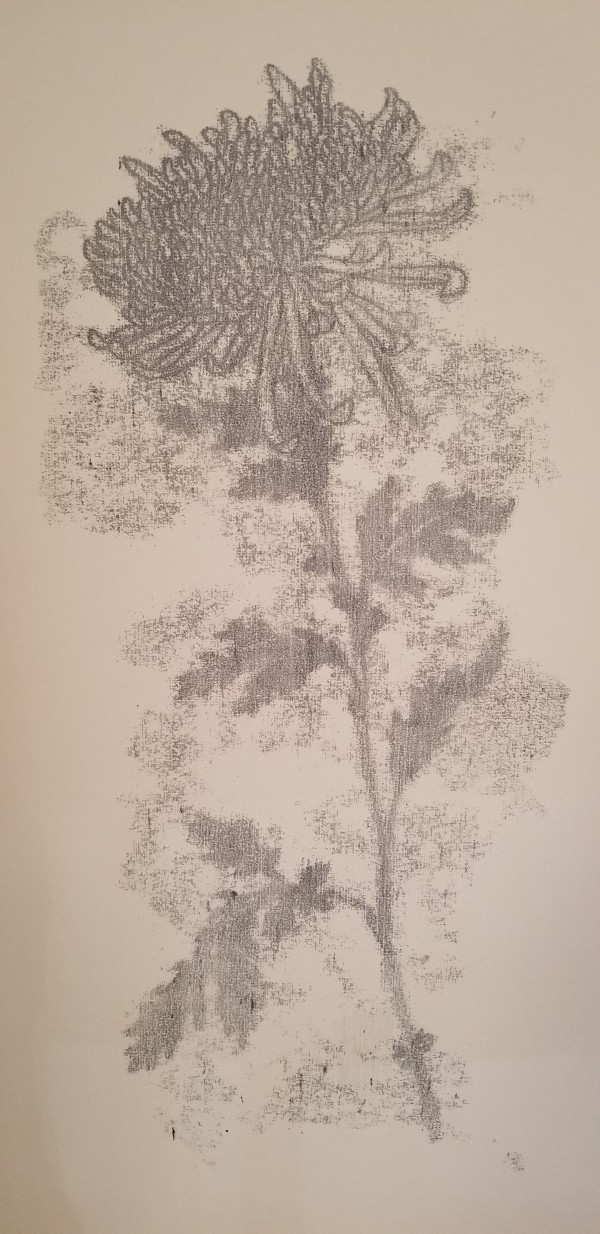 Ghost Chrysanthemum II by Nancy Jaramillo