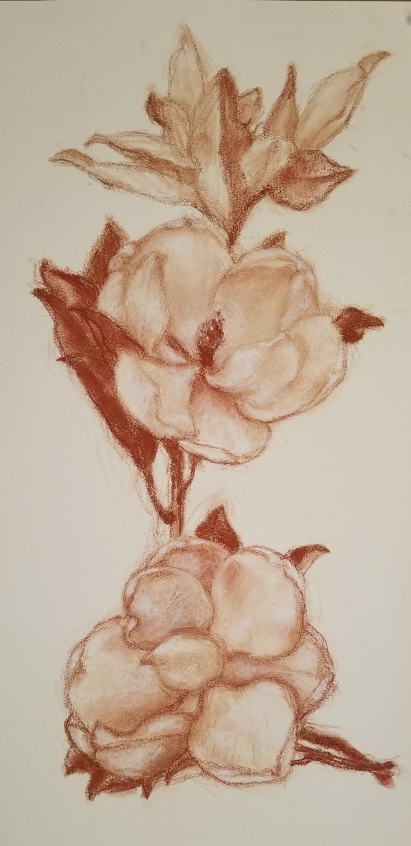 Magnolia Blossoms II by Nancy Jaramillo