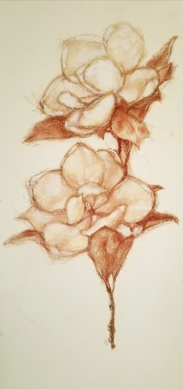 Magnolia Blossoms III by Nancy Jaramillo