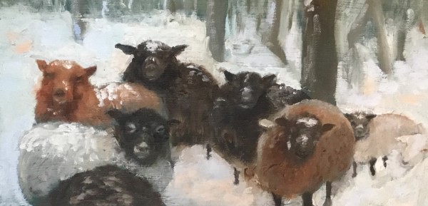 Winter Sheep by Kate Emery