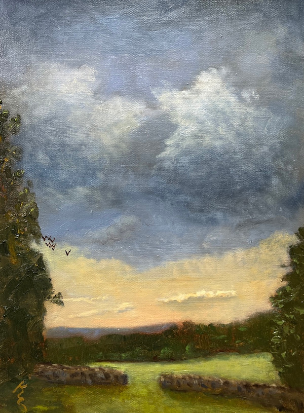 The Coming Storm by Kate Emery