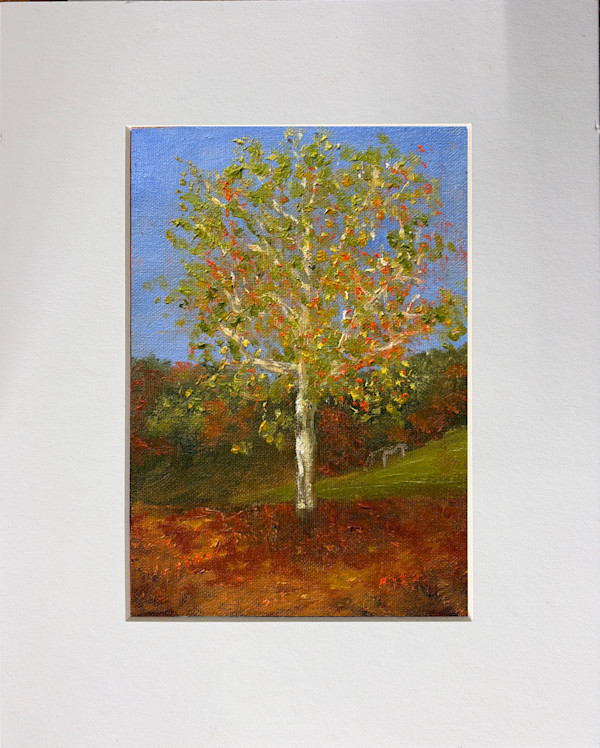 Sycamore by Kate Emery, Image 2.