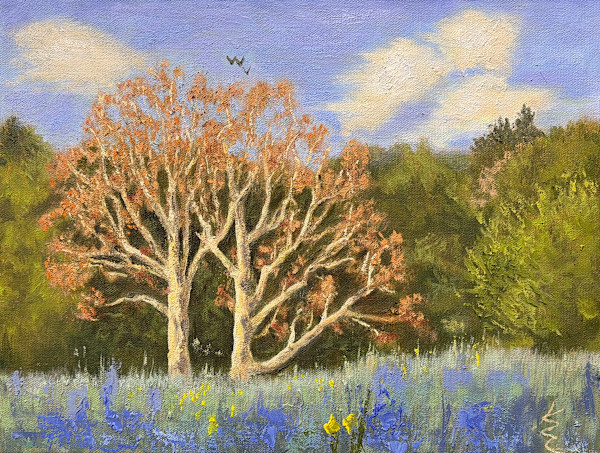 Sycamore by Kate Emery, Image 1.