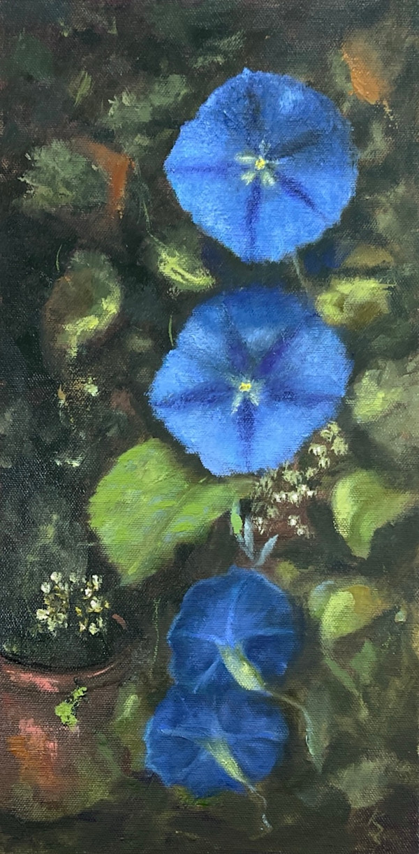 Morning Glory by Kate Emery