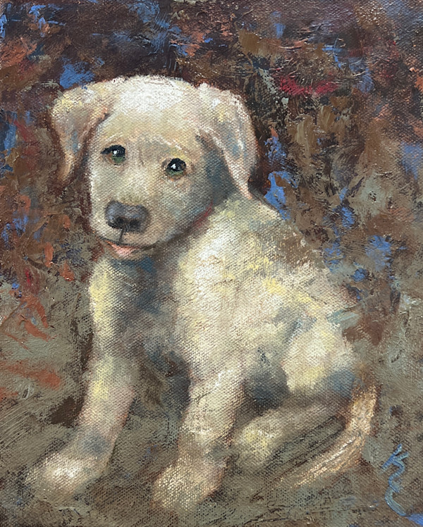 Hazel Pup by Kate Emery