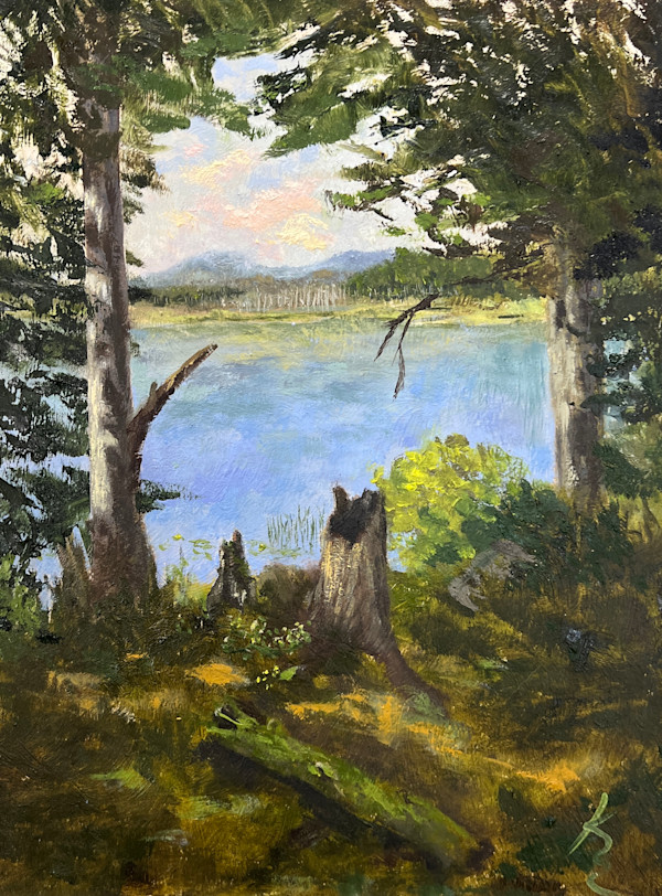 Emerald Veil by Kate Emery