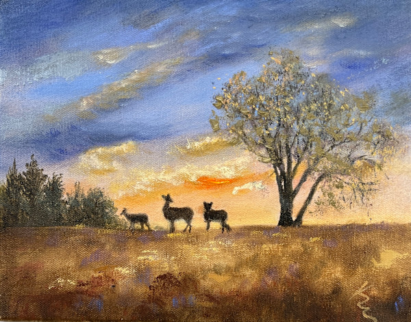 Hill-Stead High Perch by Kate Emery