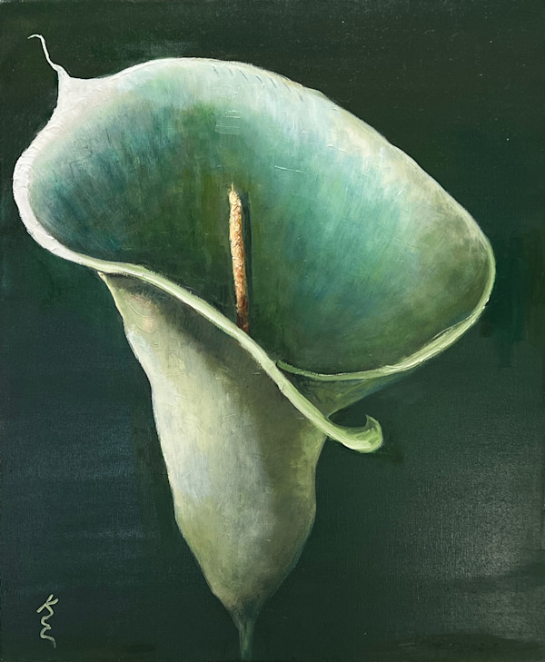 Calla Lily by Kate Emery