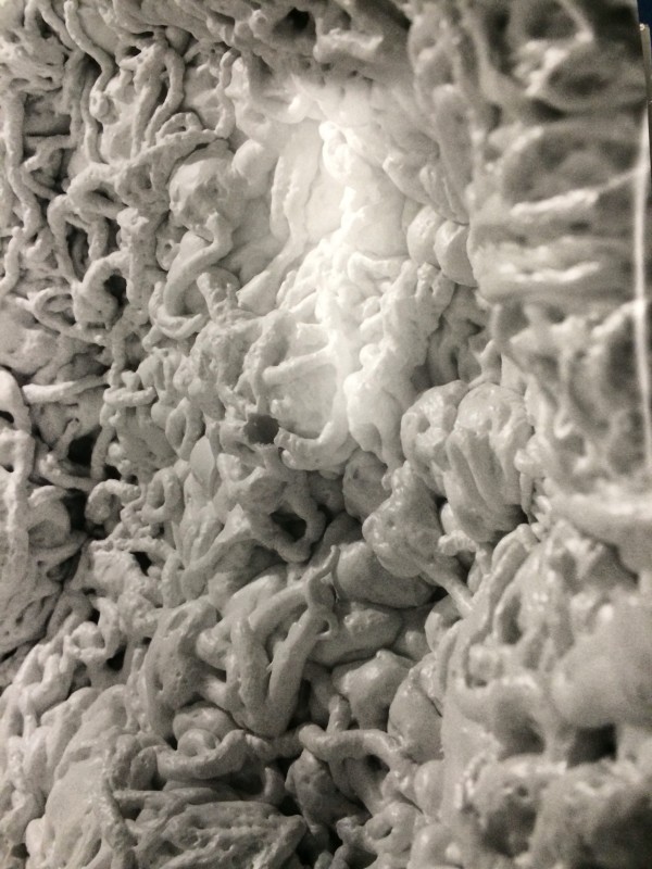 Untitled expansion foam photograph by David Nelson 