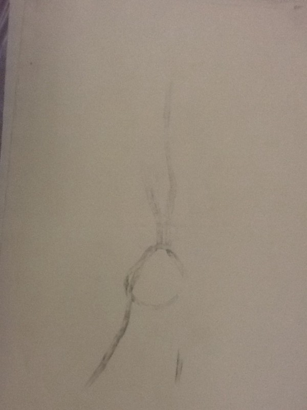 Knot drawing 18 by David Nelson