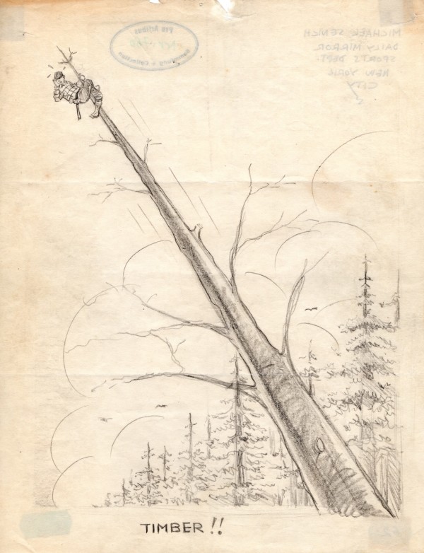 Timber - Preliminary Drawing by Michael Senich