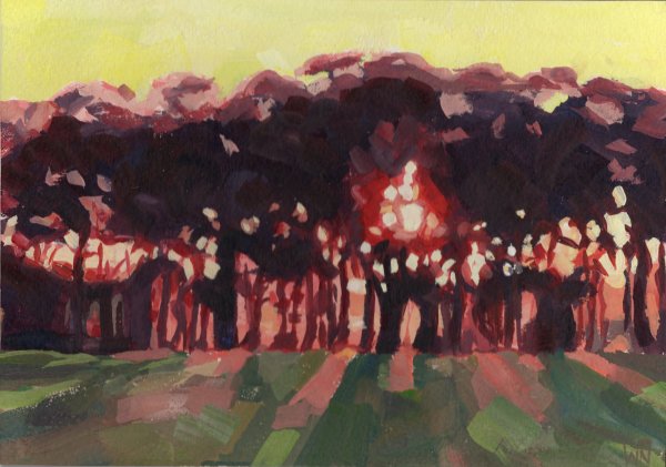 Sunset Silhouettes by Elizabeth Whiteman