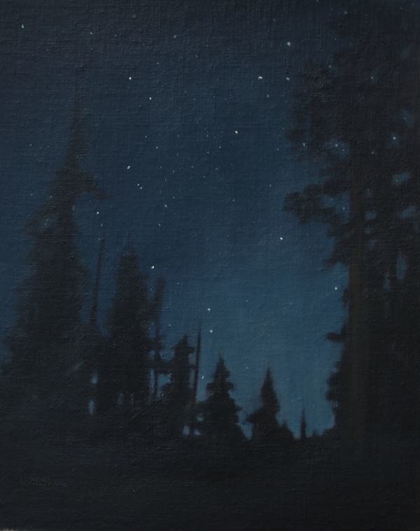 Forest at Night by Lisa McShane
