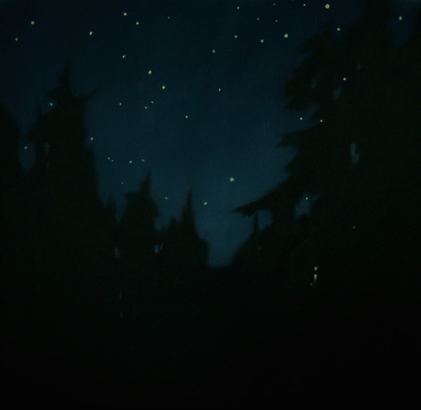 Stars through the Forest by Lisa McShane