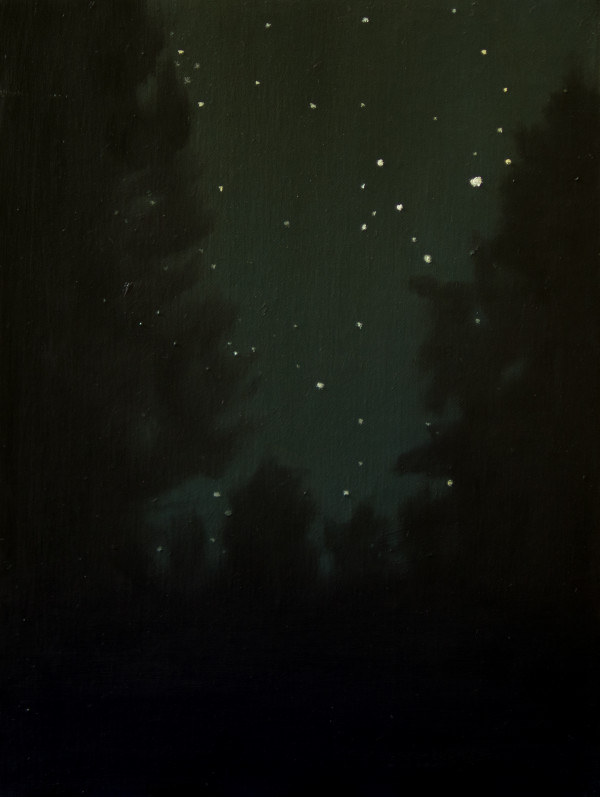 Trumbull Stars by Lisa McShane