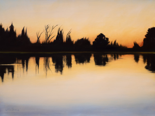 North Pond 3 by Lisa McShane