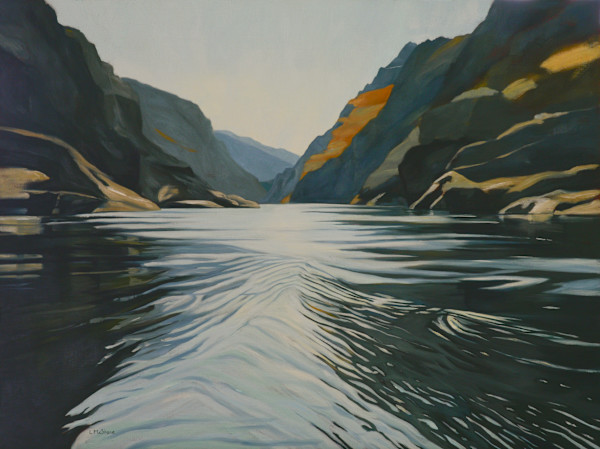 The Power of Water by Lisa McShane
