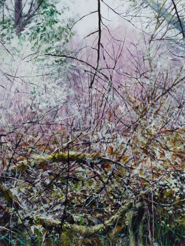 Lichen Trellis by Angelita Surmon