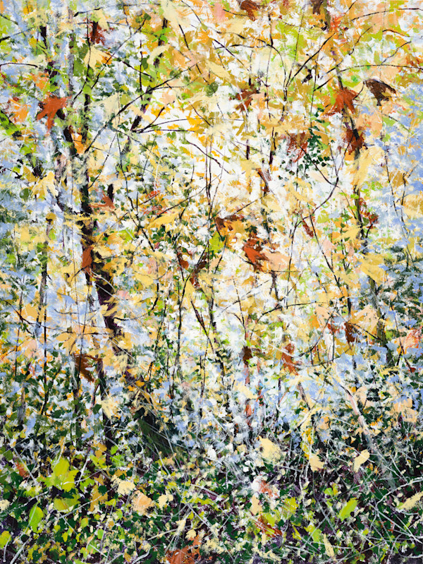 Autumn Light Stream by Angelita Surmon, Image 1.