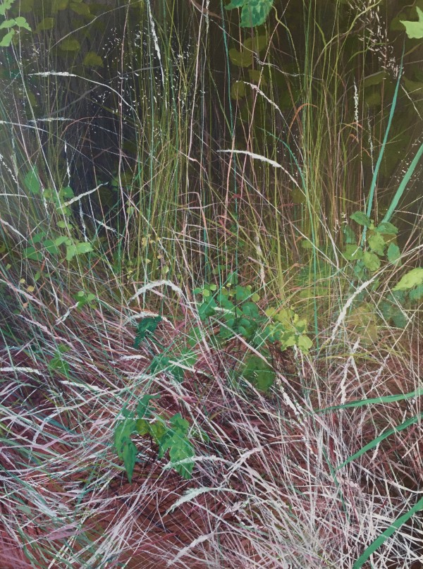 Grasses by Angelita Surmon