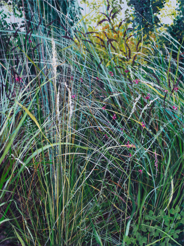 Summer Grasses by Angelita Surmon