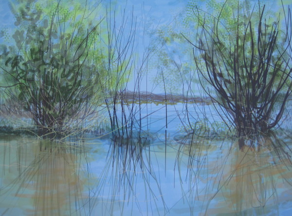 Oak Island Reflections by Angelita Surmon