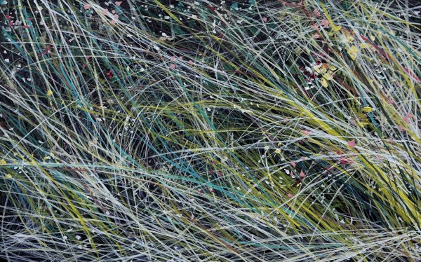 August Grasses by Angelita Surmon
