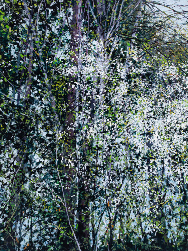 Woodland Bloom by Angelita Surmon