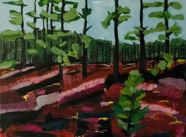 The Bog with Liz by Justine Lasdin