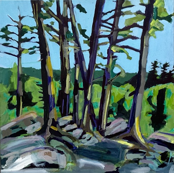 Mt. Agamenticus North Face by Justine Lasdin