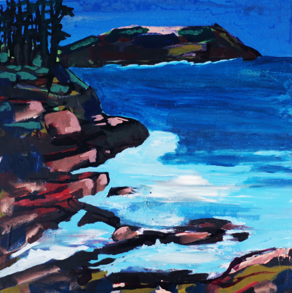 Secret Swim by Justine Lasdin