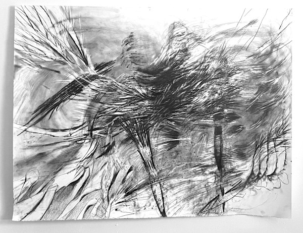 I vaguely remember walking on two legs by Sarah Valeri