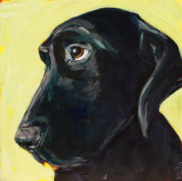 Sad Puppy by Kandice Keith