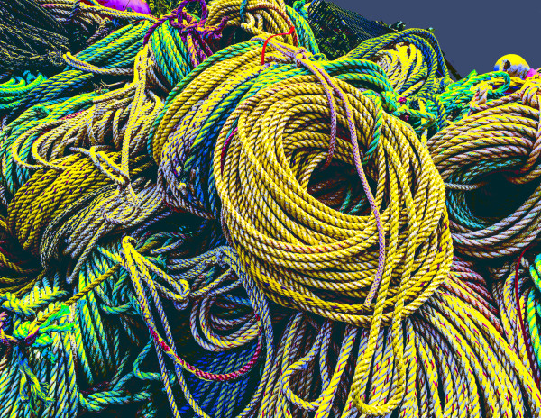 Maine Ropes by Barbara Jacobs