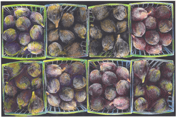 Figs in Black and White + Color-2 by Barbara Jacobs