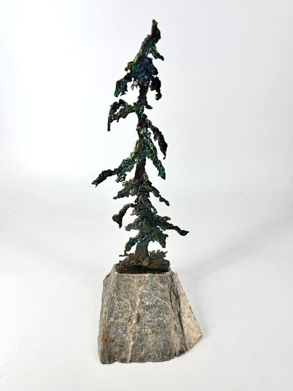 Rooted in Stone 1 by Stephen Cole Fine Art, Image 1.