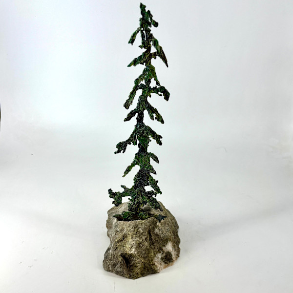 Rooted in Stone 2 by Stephen Cole Fine Art, Image 1.