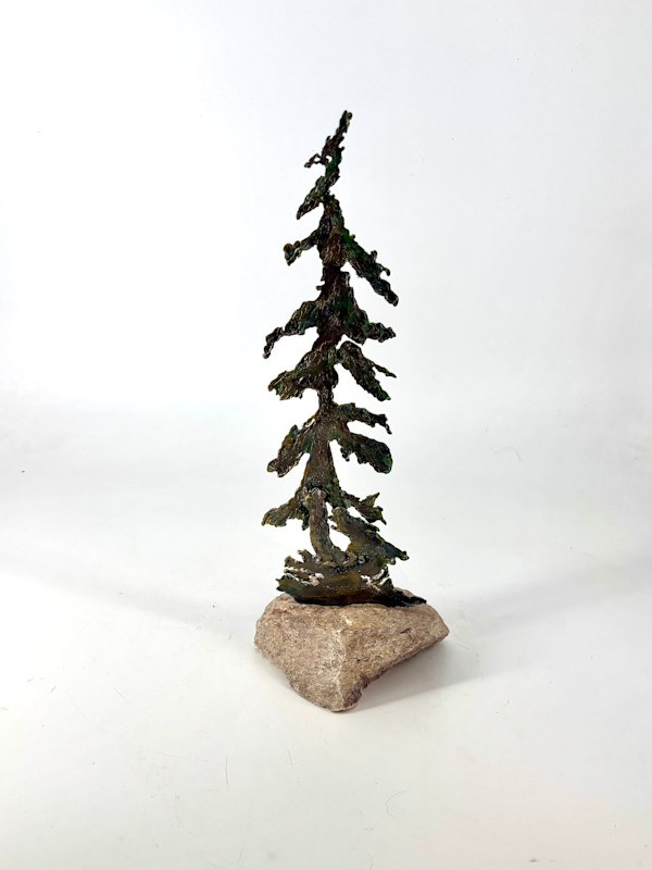 Rooted in Stone 3 by Stephen Cole Fine Art, Image 1.