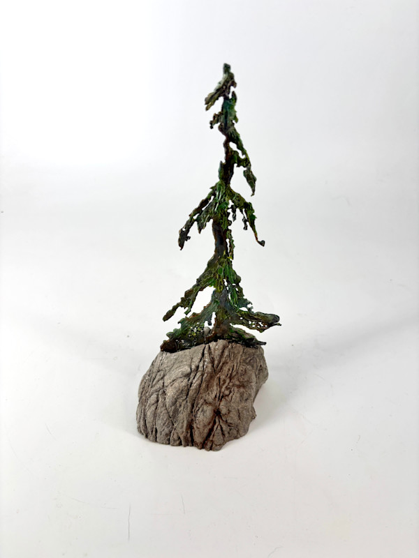 Rooted in Stone 4 by Stephen Cole Fine Art, Image 1.
