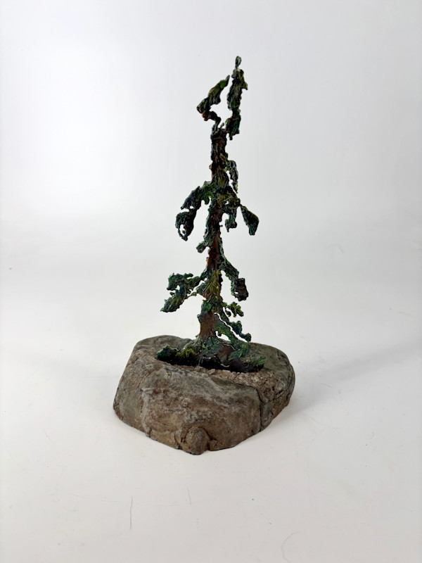 Rooted in Stone 6 by Stephen Cole Fine Art, Image 1.
