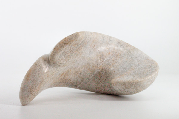 Roots by Stephen Cole Fine Art