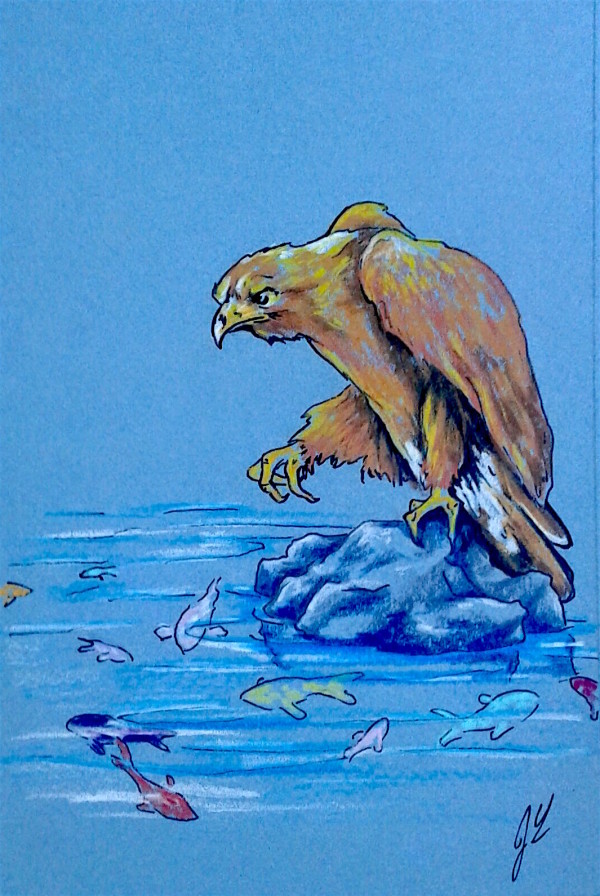 War Eagle Goes Fishing by Joy N. Taylor