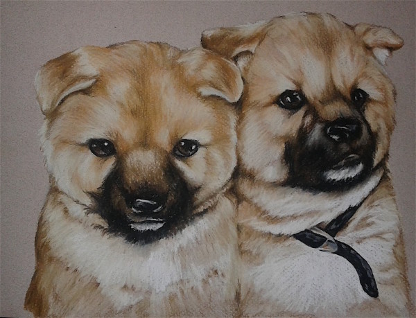 Pet Portrait, Two Puppies by Joy N. Taylor