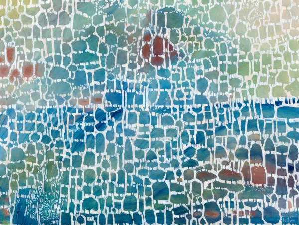 500 trees by Belinda Wilson