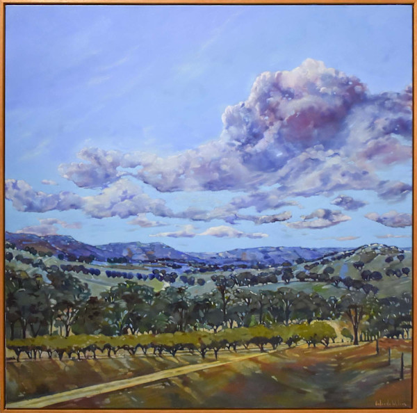 Breathing sky: Yarra Valley by Belinda Wilson