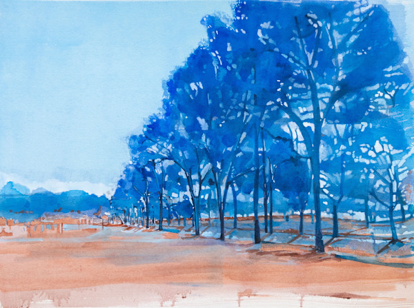 A degree of beauty by Belinda Wilson